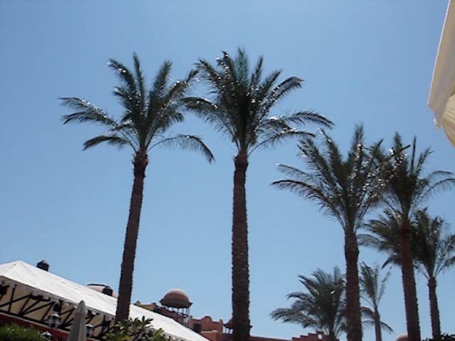 17 september 2006
