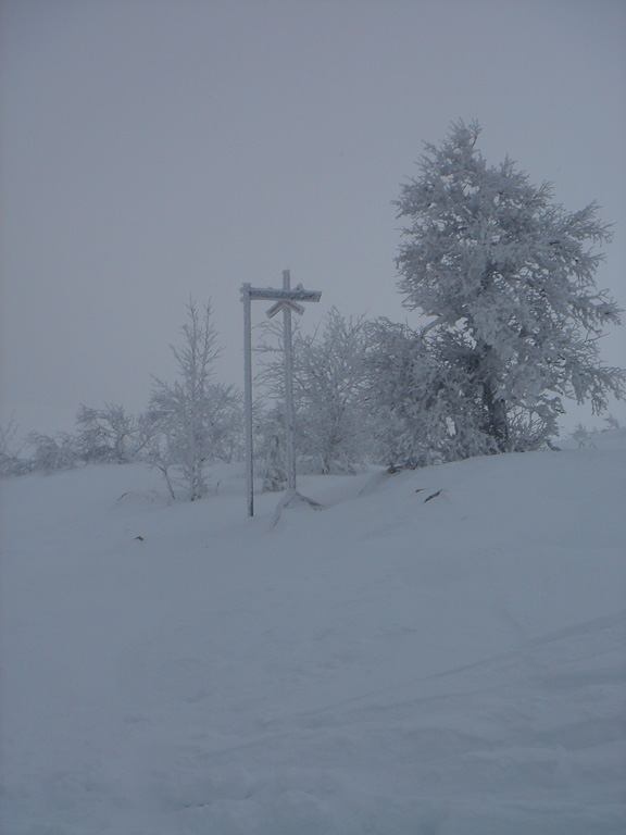 06 februari 2008