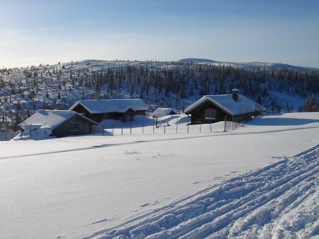 07 februari 2008