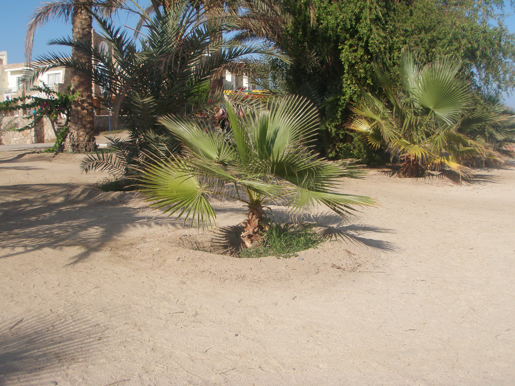 26 oktober 2009