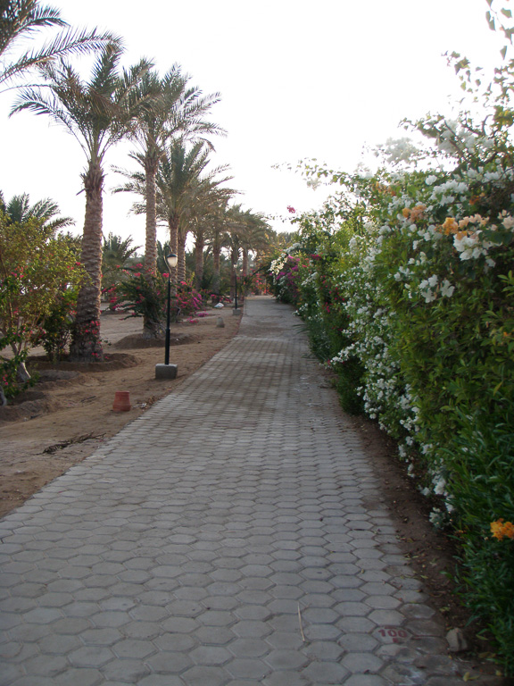 27 oktober 2009