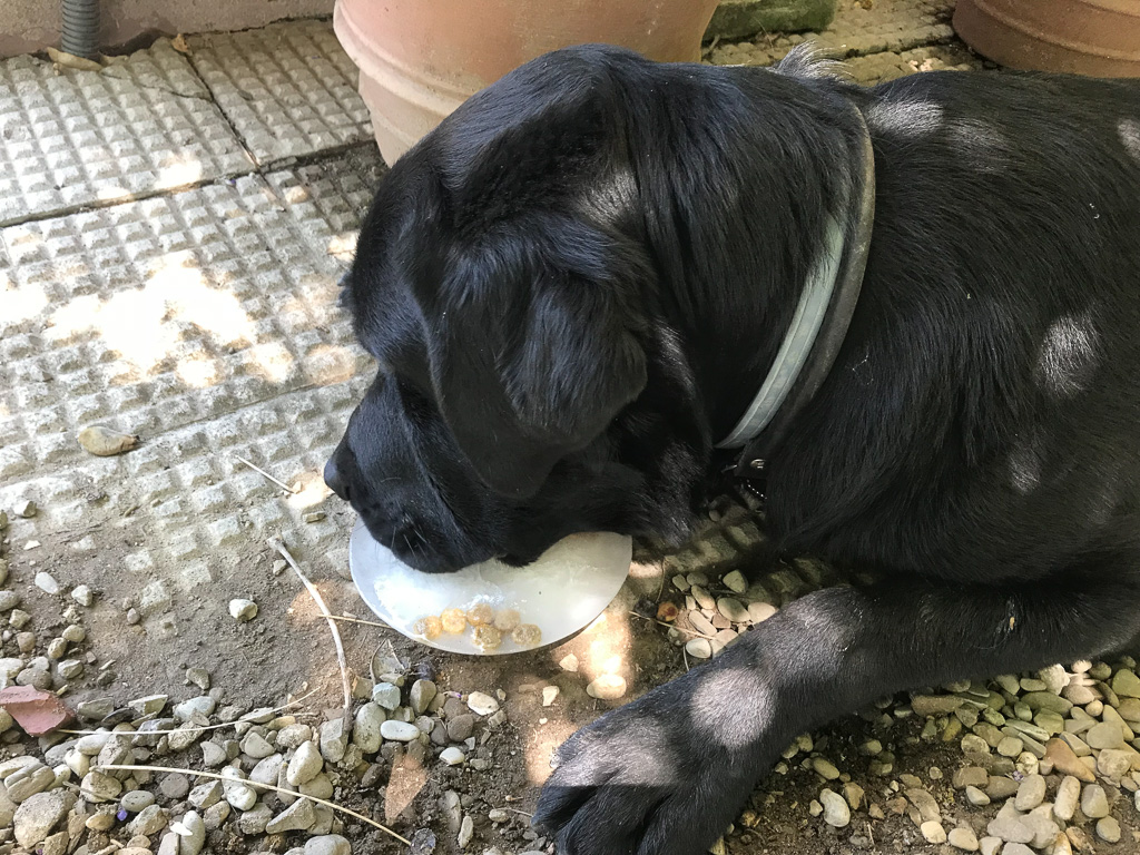 30 July 2018