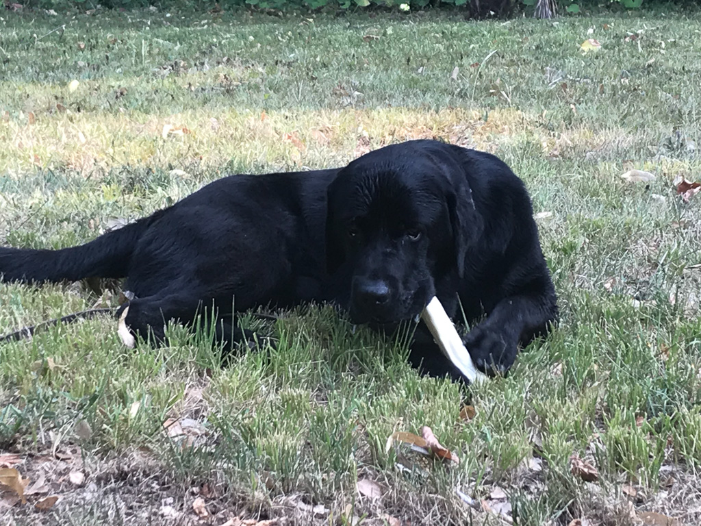 09 August 2018