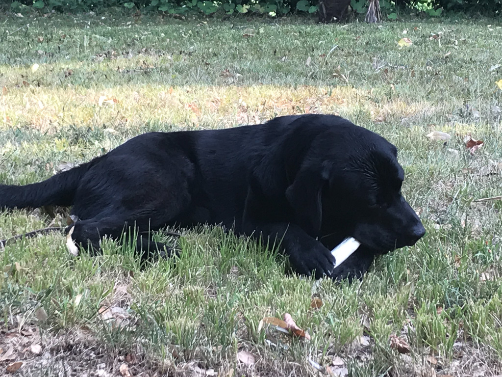 09 August 2018