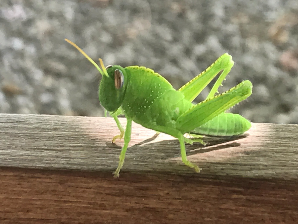 11 August 2018
