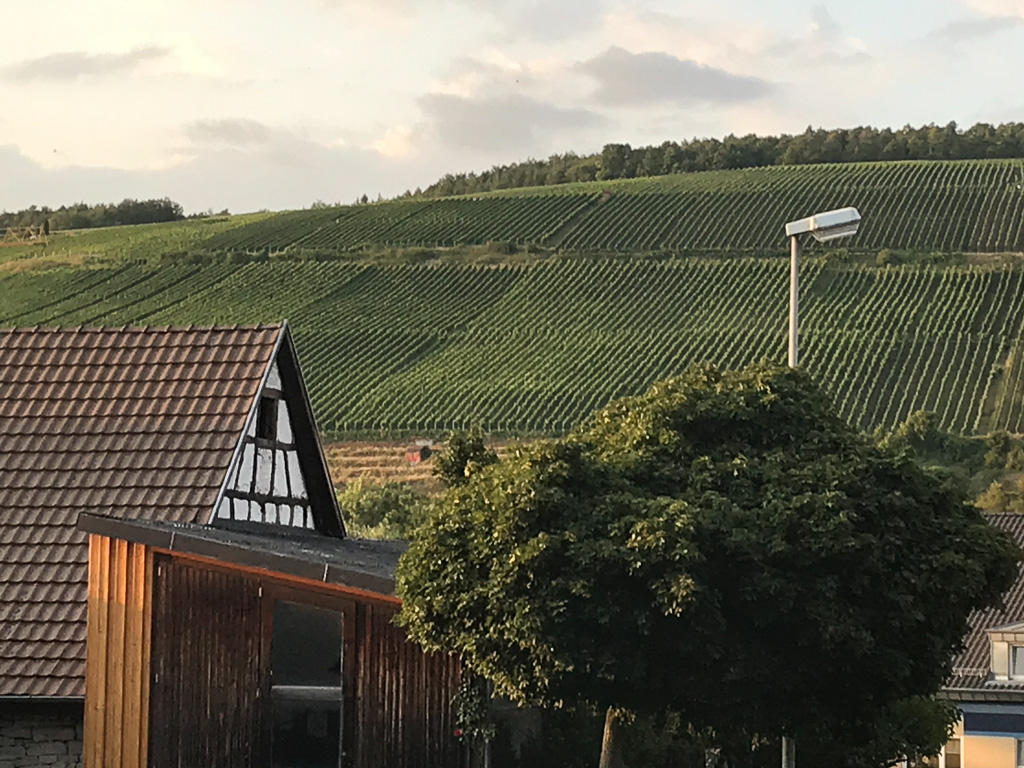 03 augusti 2019